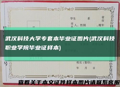 武汉科技大学专套本毕业证图片(武汉科技职业学院毕业证样本)缩略图