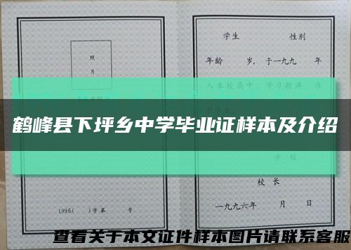 鹤峰县下坪乡中学毕业证样本及介绍缩略图