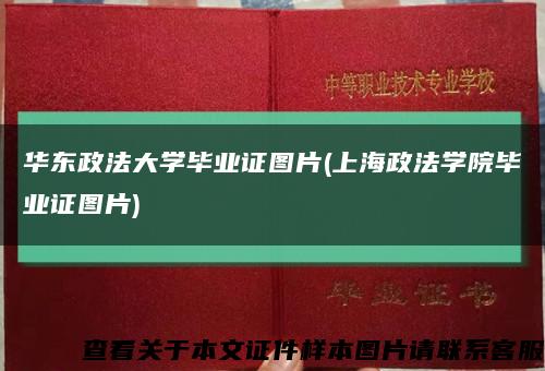 华东政法大学毕业证图片(上海政法学院毕业证图片)缩略图