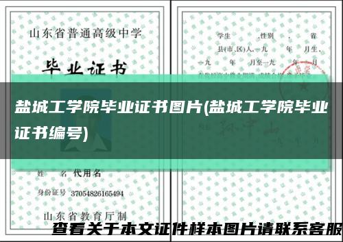 盐城工学院毕业证书图片(盐城工学院毕业证书编号)缩略图