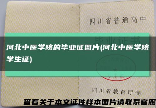 河北中医学院的毕业证图片(河北中医学院学生证)缩略图