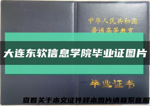 大连东软信息学院毕业证图片缩略图