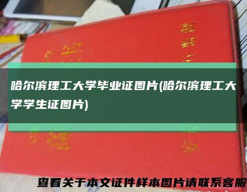 哈尔滨理工大学毕业证图片(哈尔滨理工大学学生证图片)缩略图