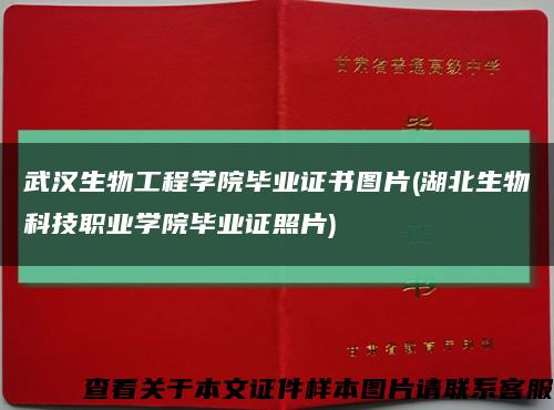武汉生物工程学院毕业证书图片(湖北生物科技职业学院毕业证照片)缩略图