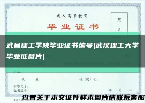 武昌理工学院毕业证书编号(武汉理工大学毕业证图片)缩略图