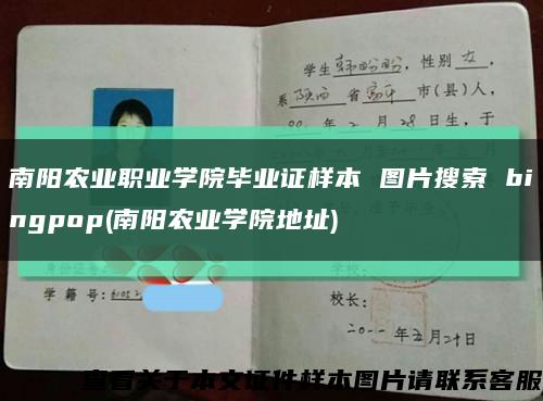 南阳农业职业学院毕业证样本 图片搜索 bingpop(南阳农业学院地址)缩略图