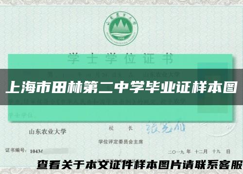 上海市田林第二中学毕业证样本图缩略图