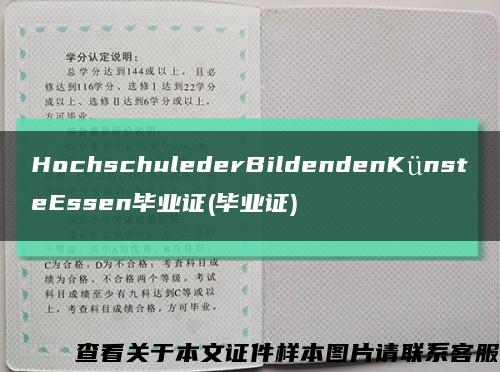 HochschulederBildendenKünsteEssen毕业证(毕业证)缩略图
