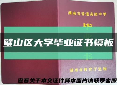 璧山区大学毕业证书模板缩略图