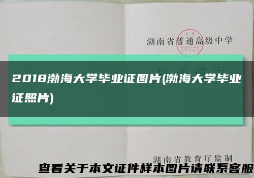 2018渤海大学毕业证图片(渤海大学毕业证照片)缩略图