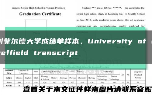 谢菲尔德大学成绩单样本，University of Sheffield transcript缩略图
