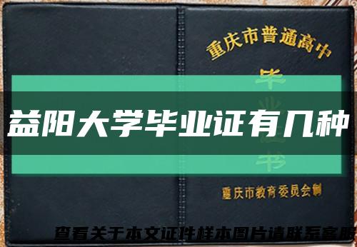 益阳大学毕业证有几种缩略图
