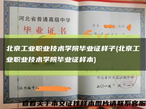 北京工业职业技术学院毕业证样子(北京工业职业技术学院毕业证样本)缩略图