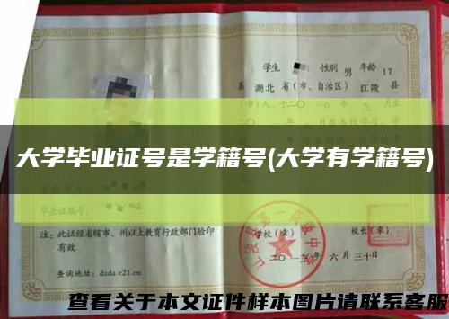 大学毕业证号是学籍号(大学有学籍号)缩略图