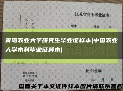 青岛农业大学研究生毕业证样本(中国农业大学本科毕业证样本)缩略图