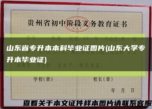 山东省专升本本科毕业证图片(山东大学专升本毕业证)缩略图