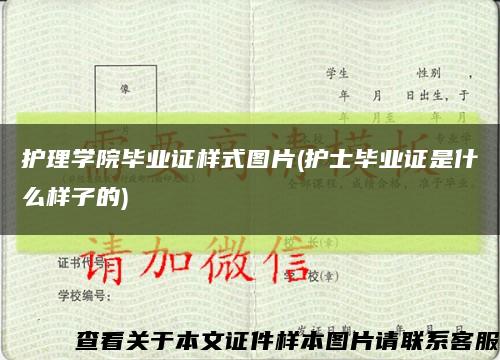 护理学院毕业证样式图片(护士毕业证是什么样子的)缩略图