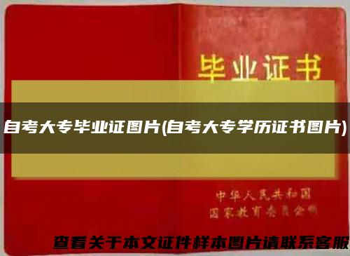 自考大专毕业证图片(自考大专学历证书图片)缩略图
