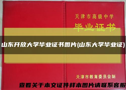 山东开放大学毕业证书图片(山东大学毕业证)缩略图