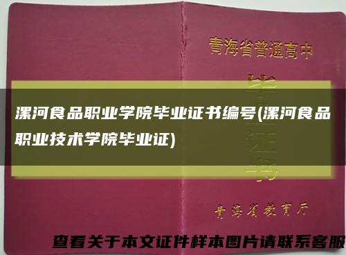 漯河食品职业学院毕业证书编号(漯河食品职业技术学院毕业证)缩略图