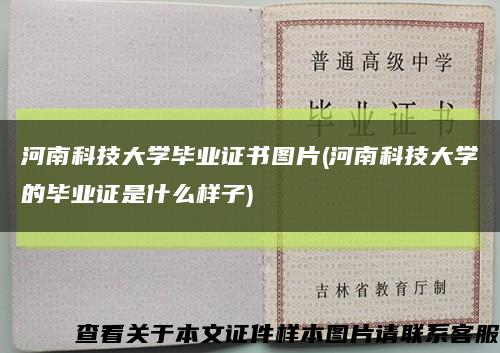 河南科技大学毕业证书图片(河南科技大学的毕业证是什么样子)缩略图