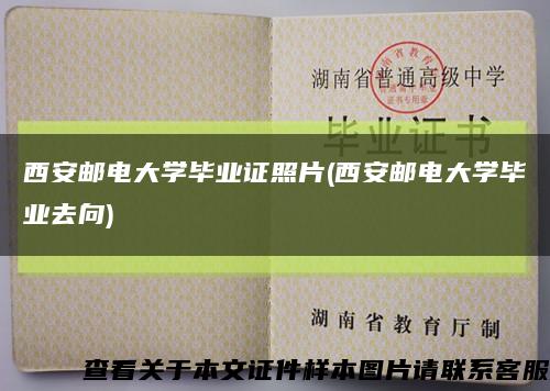 西安邮电大学毕业证照片(西安邮电大学毕业去向)缩略图