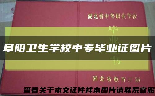 阜阳卫生学校中专毕业证图片缩略图
