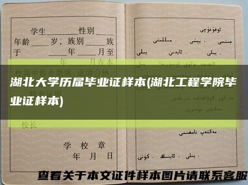 湖北大学历届毕业证样本(湖北工程学院毕业证样本)缩略图