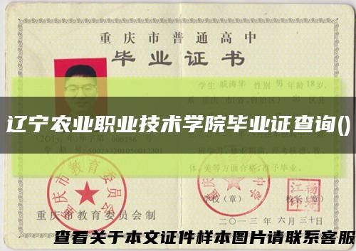 辽宁农业职业技术学院毕业证查询()缩略图