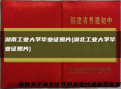 湖南工业大学毕业证照片(湖北工业大学毕业证照片)缩略图