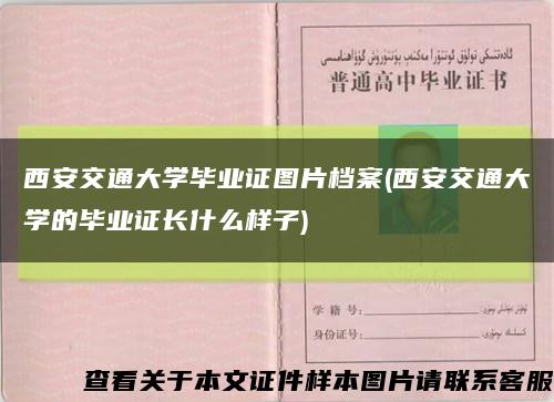 西安交通大学毕业证图片档案(西安交通大学的毕业证长什么样子)缩略图