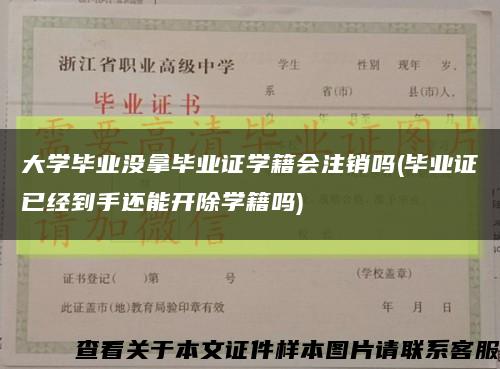 大学毕业没拿毕业证学籍会注销吗(毕业证已经到手还能开除学籍吗)缩略图