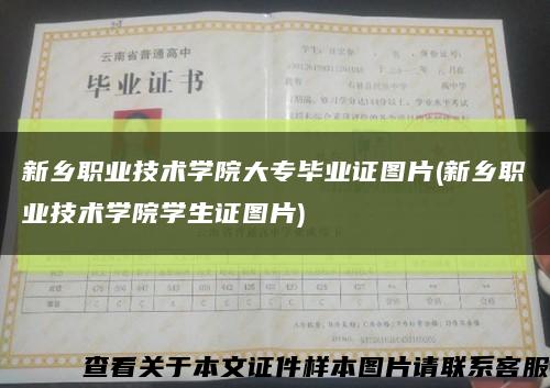 新乡职业技术学院大专毕业证图片(新乡职业技术学院学生证图片)缩略图