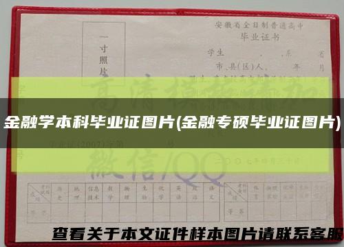 金融学本科毕业证图片(金融专硕毕业证图片)缩略图