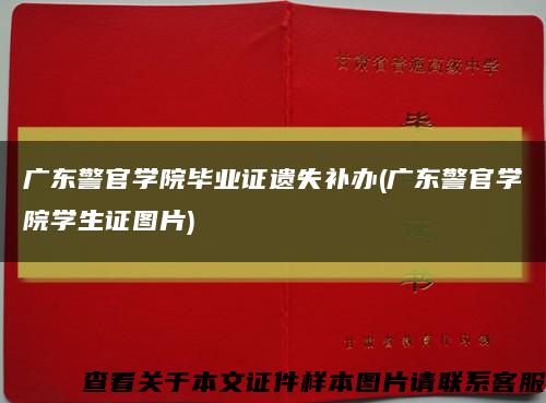 广东警官学院毕业证遗失补办(广东警官学院学生证图片)缩略图