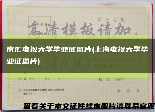 南汇电视大学毕业证图片(上海电视大学毕业证图片)缩略图