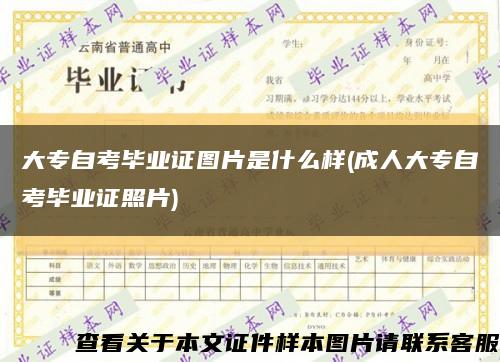 大专自考毕业证图片是什么样(成人大专自考毕业证照片)缩略图