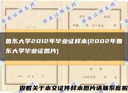 鲁东大学2012年毕业证样本(2002年鲁东大学毕业证图片)缩略图