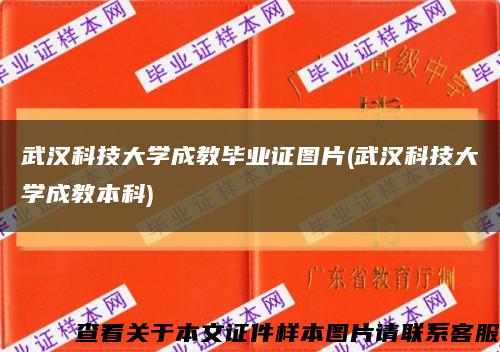 武汉科技大学成教毕业证图片(武汉科技大学成教本科)缩略图