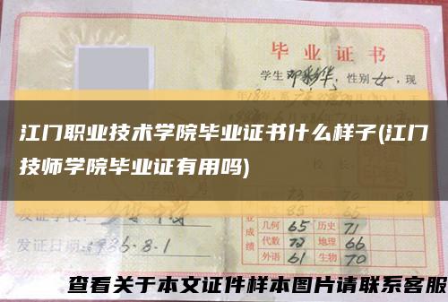 江门职业技术学院毕业证书什么样子(江门技师学院毕业证有用吗)缩略图