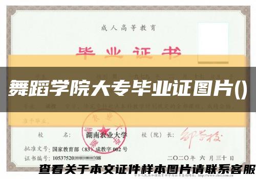 舞蹈学院大专毕业证图片()缩略图