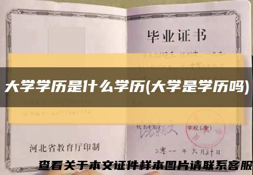 大学学历是什么学历(大学是学历吗)缩略图