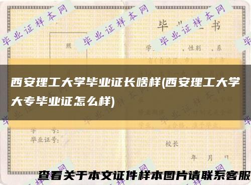 西安理工大学毕业证长啥样(西安理工大学大专毕业证怎么样)缩略图