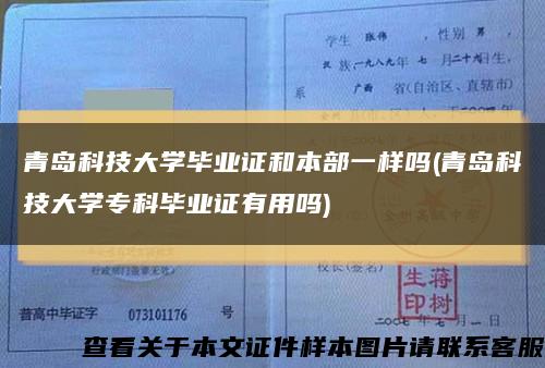 青岛科技大学毕业证和本部一样吗(青岛科技大学专科毕业证有用吗)缩略图