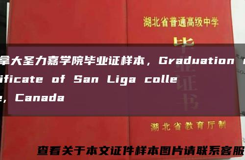 加拿大圣力嘉学院毕业证样本，Graduation certificate of San Liga college, Canada缩略图