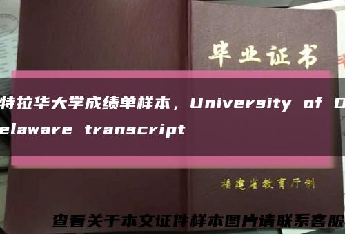 特拉华大学成绩单样本，University of Delaware transcript缩略图