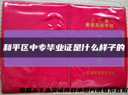 和平区中专毕业证是什么样子的缩略图