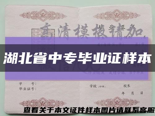 湖北省中专毕业证样本缩略图