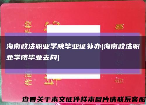 海南政法职业学院毕业证补办(海南政法职业学院毕业去向)缩略图