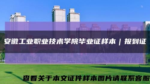 安徽工业职业技术学院毕业证样本｜报到证缩略图